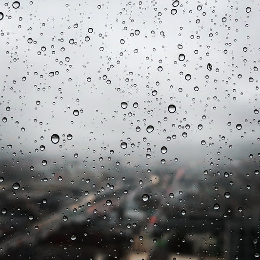 SCENT STUDY #1 — THE SCENT OF RAIN