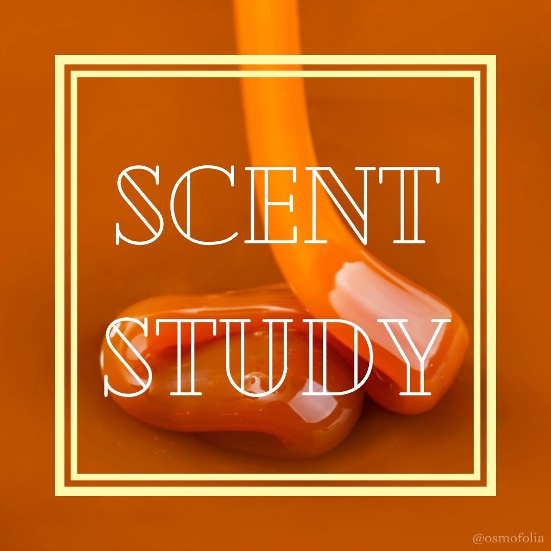 SCENT STUDY #3 — THE SCENT OF CARAMEL