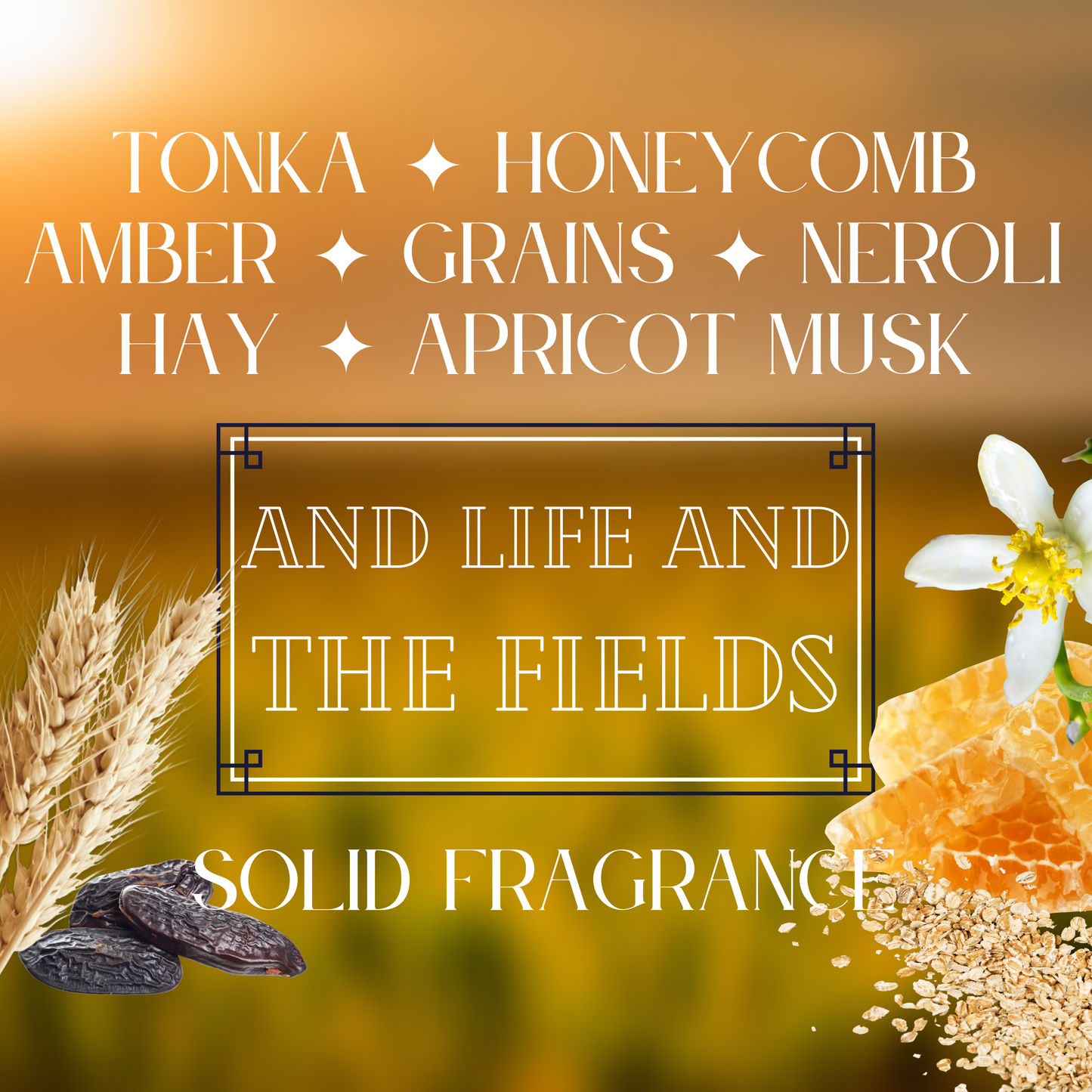AND LIFE AND THE FIELDS solid fragrance