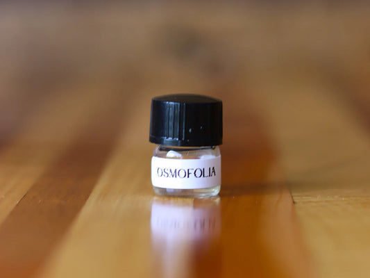 LAST CALL: 1ml Perfume Oil Sample Vial — Choose Your Own Scent